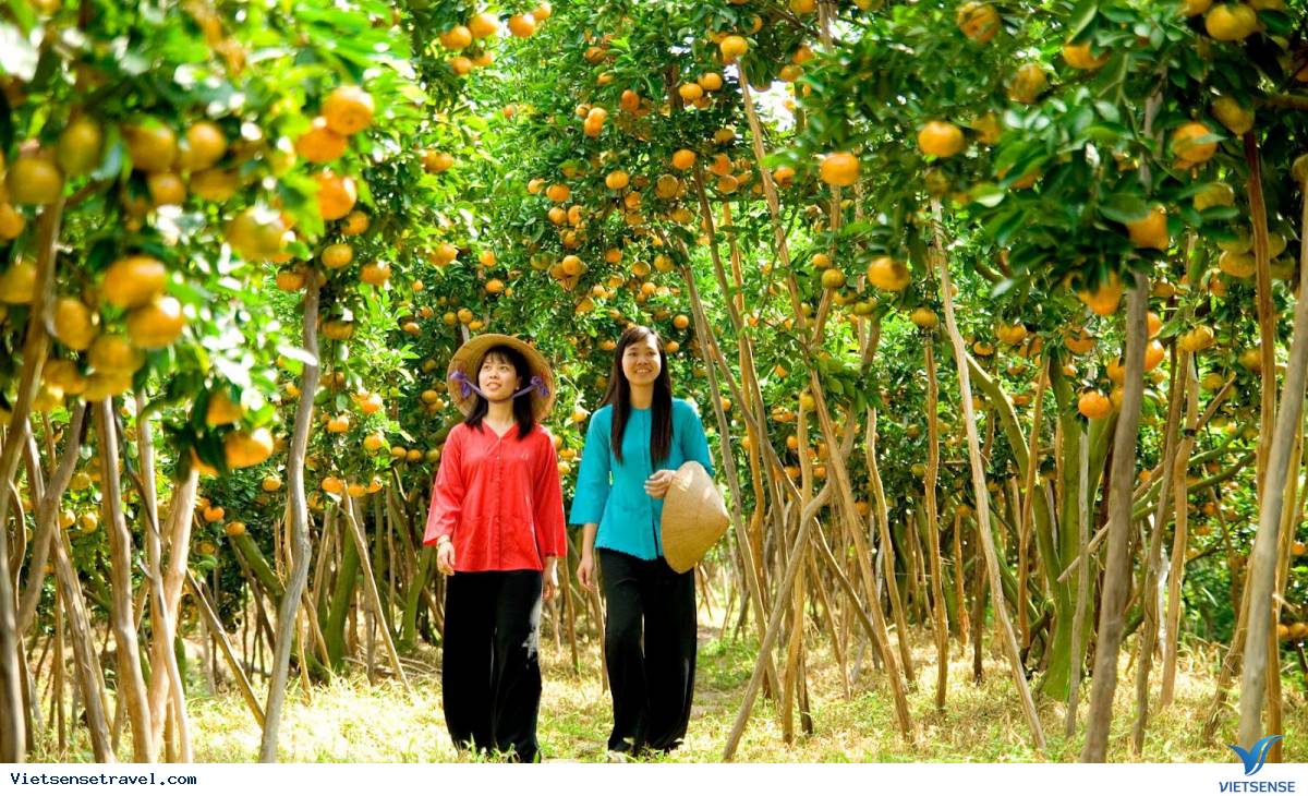 Cồn Thới Sơn
