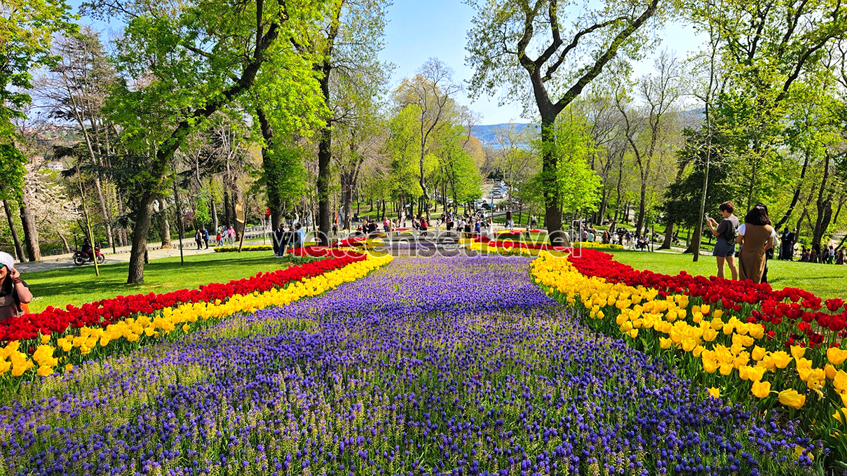 Công viên Emirgan thiên đường hoa Tulip ở Istanbul