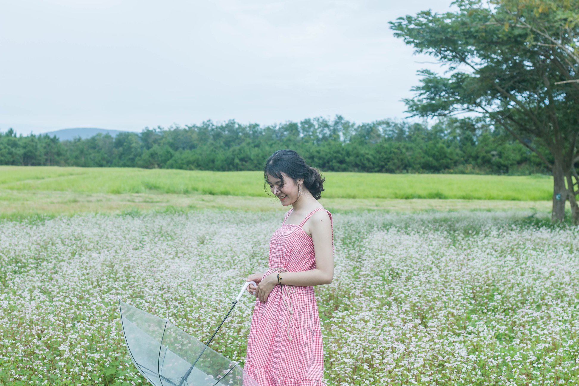 Đà Lạt Farm Milk: Thiên đường “sống ảo” tại Đà Lạt