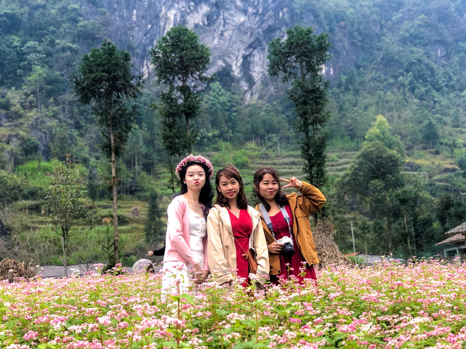 Đắm Say Hà Giang Mùa Thu Với Đoàn Khách 8-10/11/2019