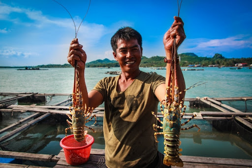 Đảo Tôm Hùm