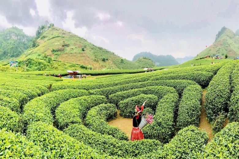 Dấu ấn Mộc Châu tháng 12