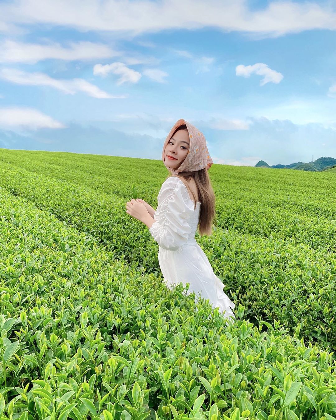 Đi Mộc Châu Tháng 11 Có Gì Đẹp?