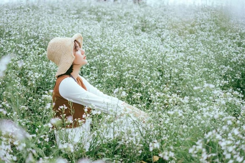 Điểm Chụp Ảnh Hoa Cải Mộc Châu đẹp nhất