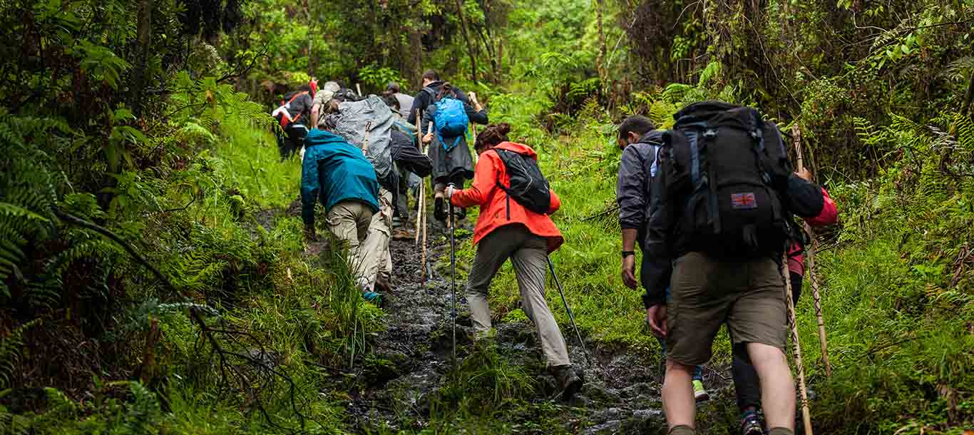 Khám phá 6 điểm trekking nổi tiếng nhất ở Mỹ