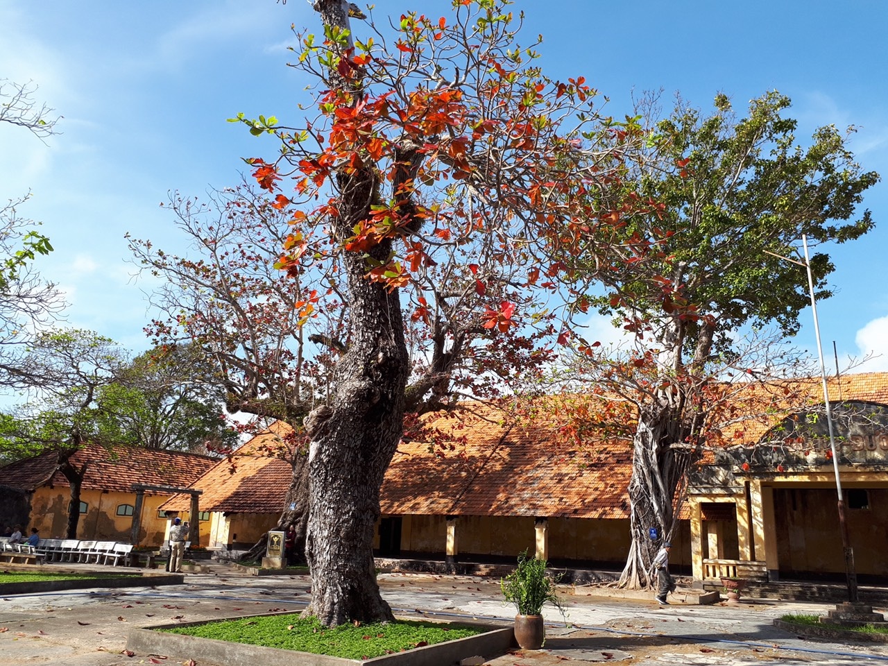 Tham quan Dinh chúa Đảo chứng nhân lịch sử hào hùng của dân tộc