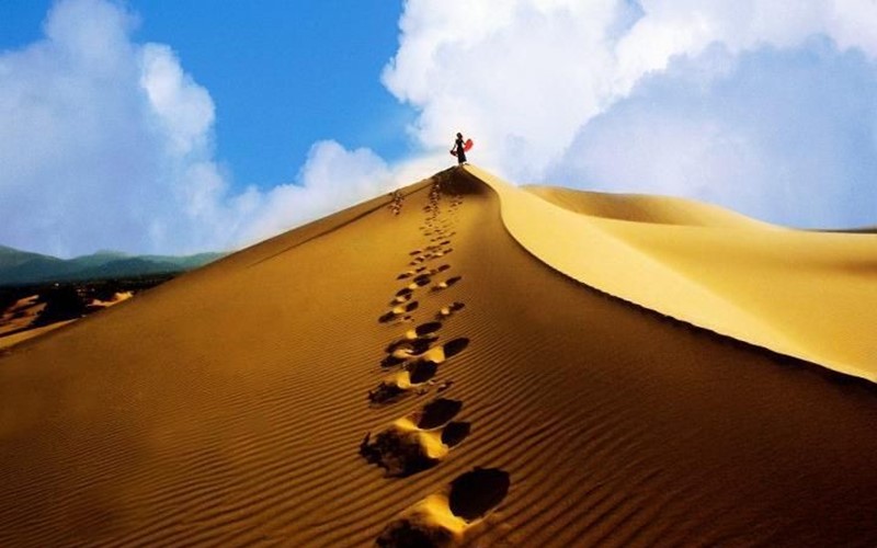 Đồi Cát Quang Phú