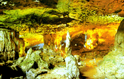 Động Đầu Gỗ