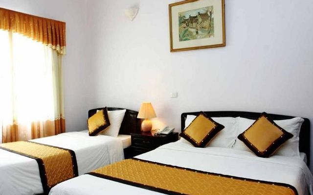 Động Ngườm Ngao - Bí ẩn Và Độc Đáo Của Hệ Sinh Thái Hang Động