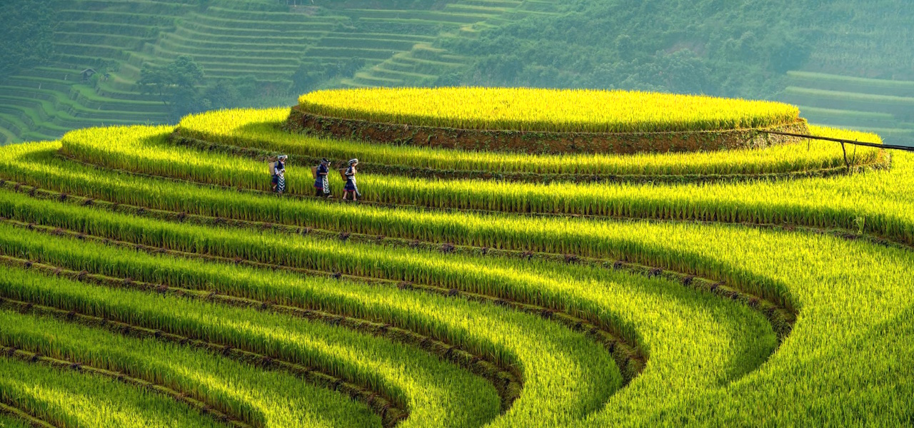 Đồi Mâm Xôi - Xã La Pán Tẩn