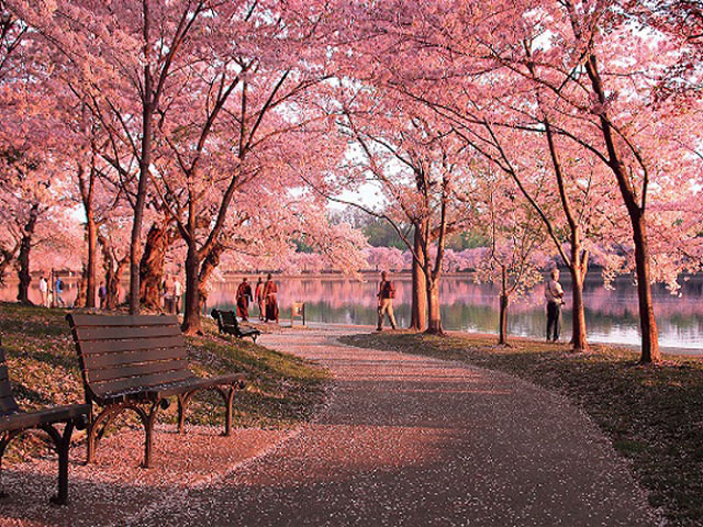 Du Lịch Canada Tháng 4 Có Gì Đẹp?