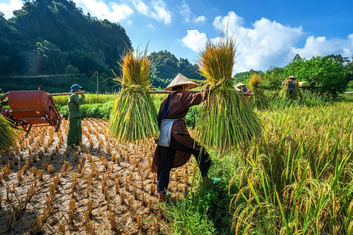 Du Lịch Cao Bằng Bản Hùng Ca Tráng Lệ Miền Sơn Cước - Ảnh 5