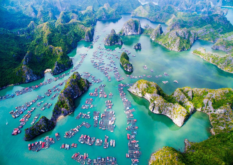 Giới thiệu Bến Bèo – Một trong những địa điểm không thể bỏ lỡ khi đến Cát Bà