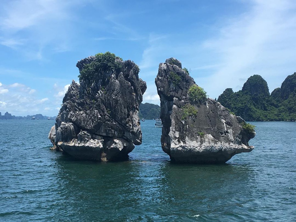 Giới thiệu hòn Gà Chọi