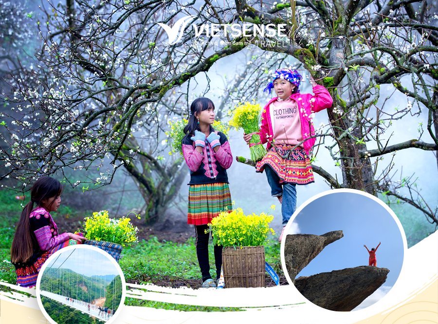 Gợi ý Tour Chơi Tết Miền Bắc hấp dẫn nhất 2025
