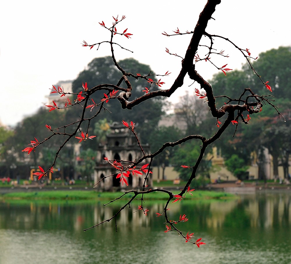 Hồ Gươm  - Trái tim xanh của thủ đô Hà Nội