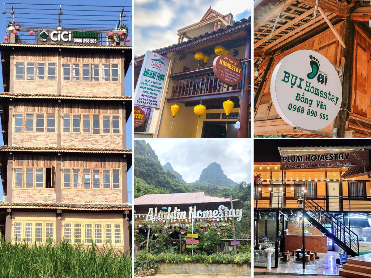 Homestay ở Đồng Văn: Địa chỉ, review dịch vụ, giá