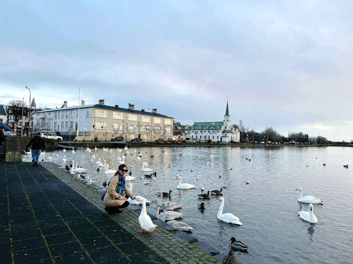 Hướng dẫn du lịch Iceland tất cả những điều cần biết