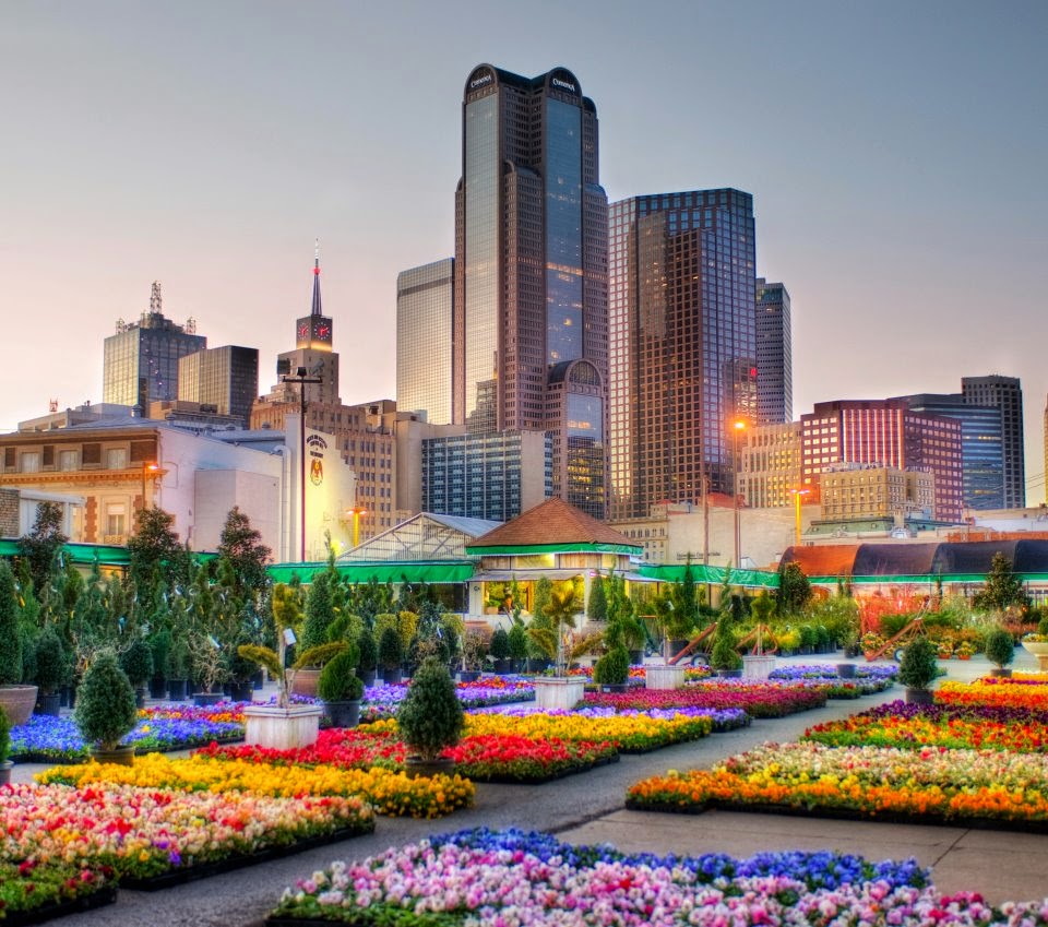 Khám phá 3 điểm du lịch nổi tiếng ở thành phố Dallas