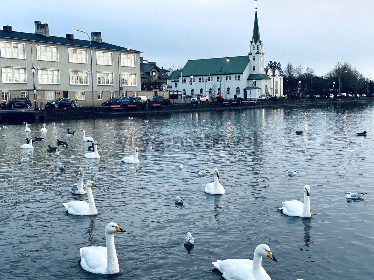 Khám phá thủ đô Reykjavik của Iceland