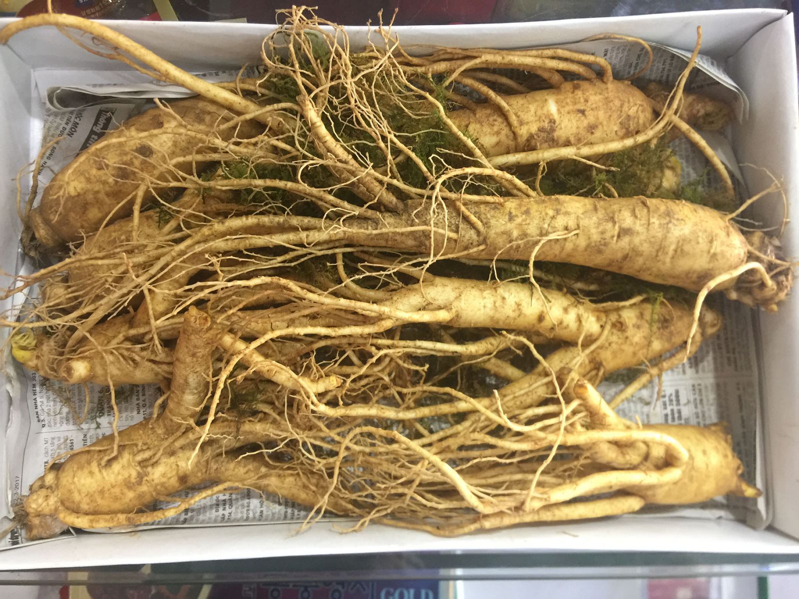 Kinh Nghiệm Chọn Mua Nhân Sâm Hàn Quốc