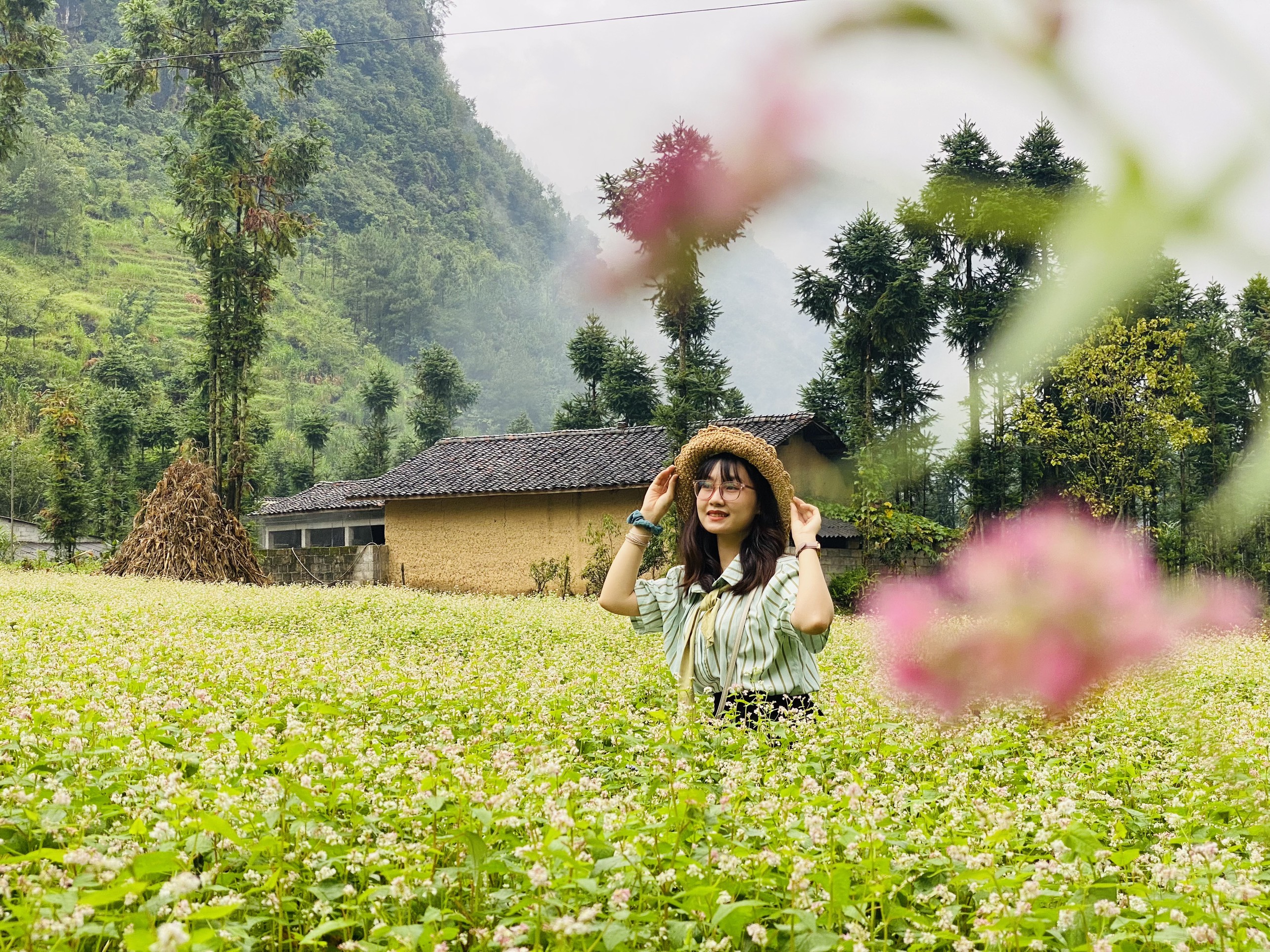 Kinh nghiệm Đi Hà Giang mới nhất
