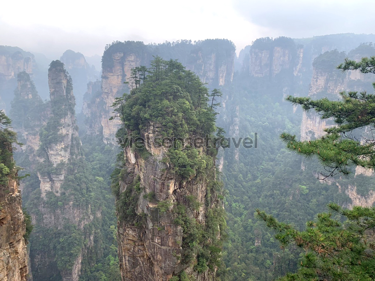 Kinh nghiệm du lịch Trương Gia Giới cập nhật mới nhất