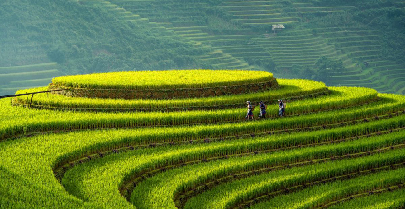 La Pán Tẩn