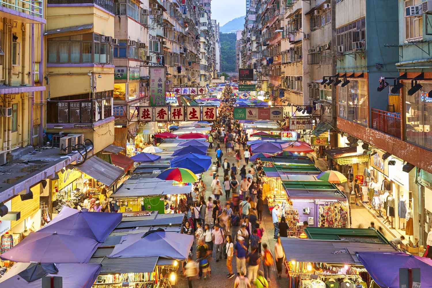 Lady Market
