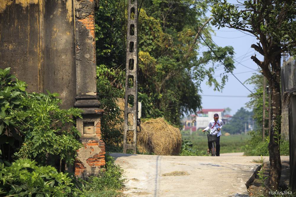 Làng Biệt Thự Cổ Ven Đô