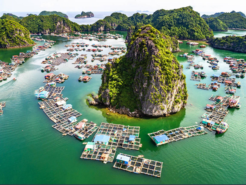 Làng Chài Cửa Vạn
