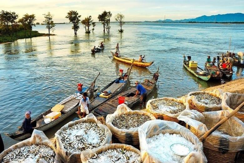 Miền Tây có bao nhiêu tỉnh?