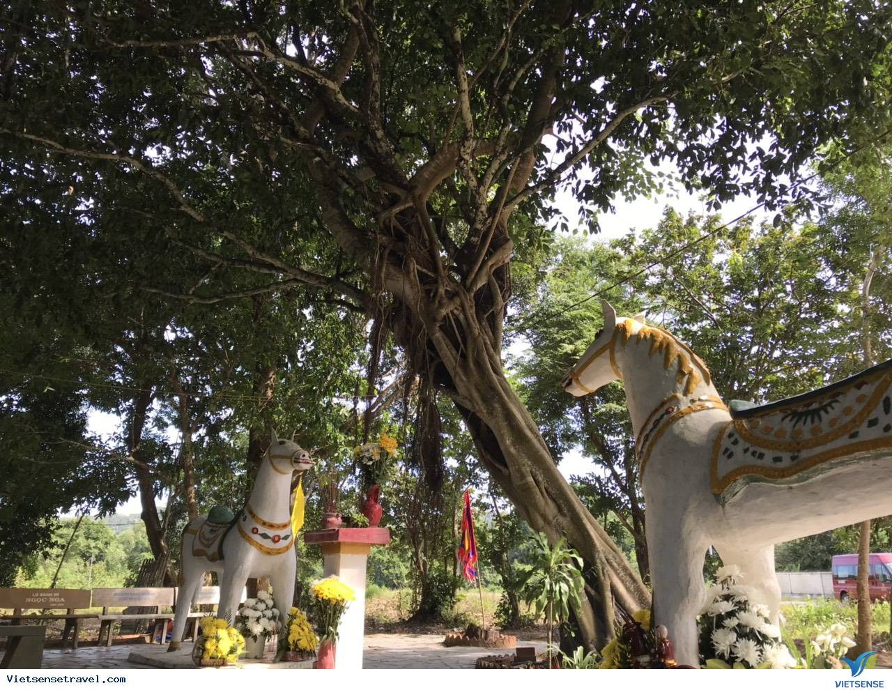 Miếu Hoàng Tử Cái