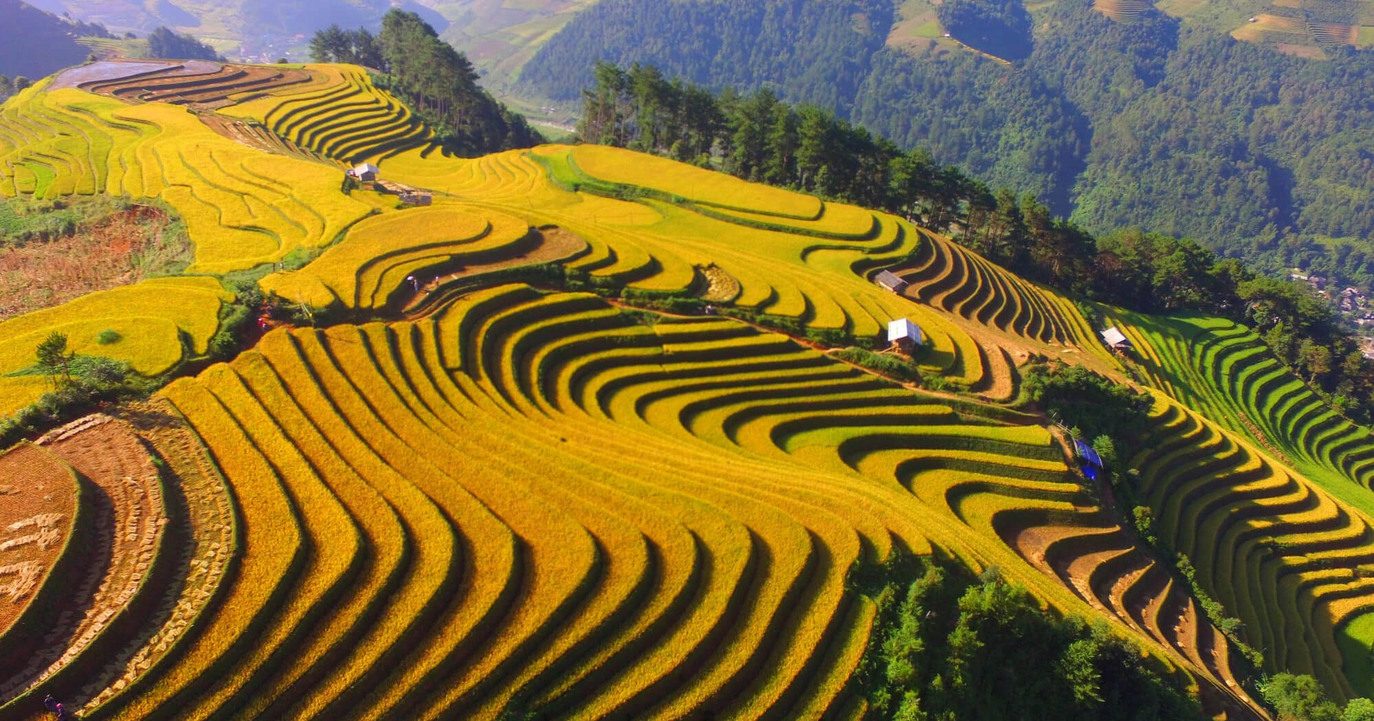 Món ngon đặc sản Tây Bắc đậm đà hương vị vùng cao