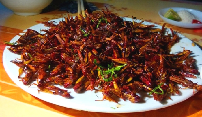 Điểm danh 10 món ngon Yên Bái: thơm ngon khó cưỡng