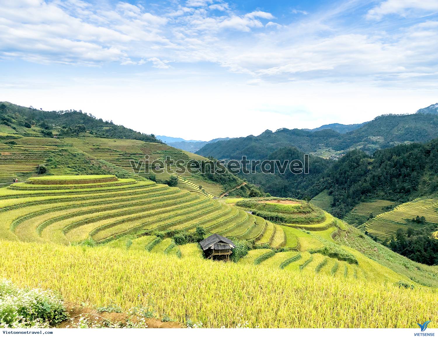 Mù Căng Chải