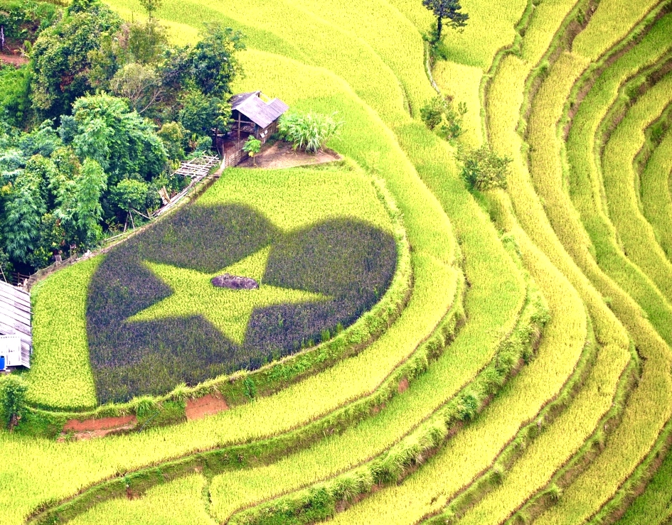 Mùa lúa chín Hoàng Su Phì: Những điểm ngắm cảnh đẹp nhất