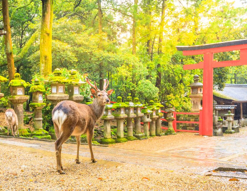 Nara