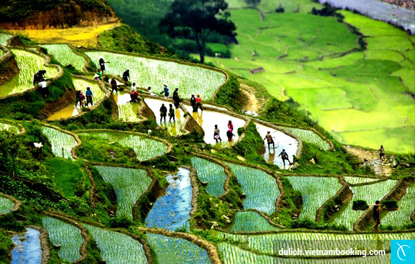 Sapa vào mùa nào đẹp nhất