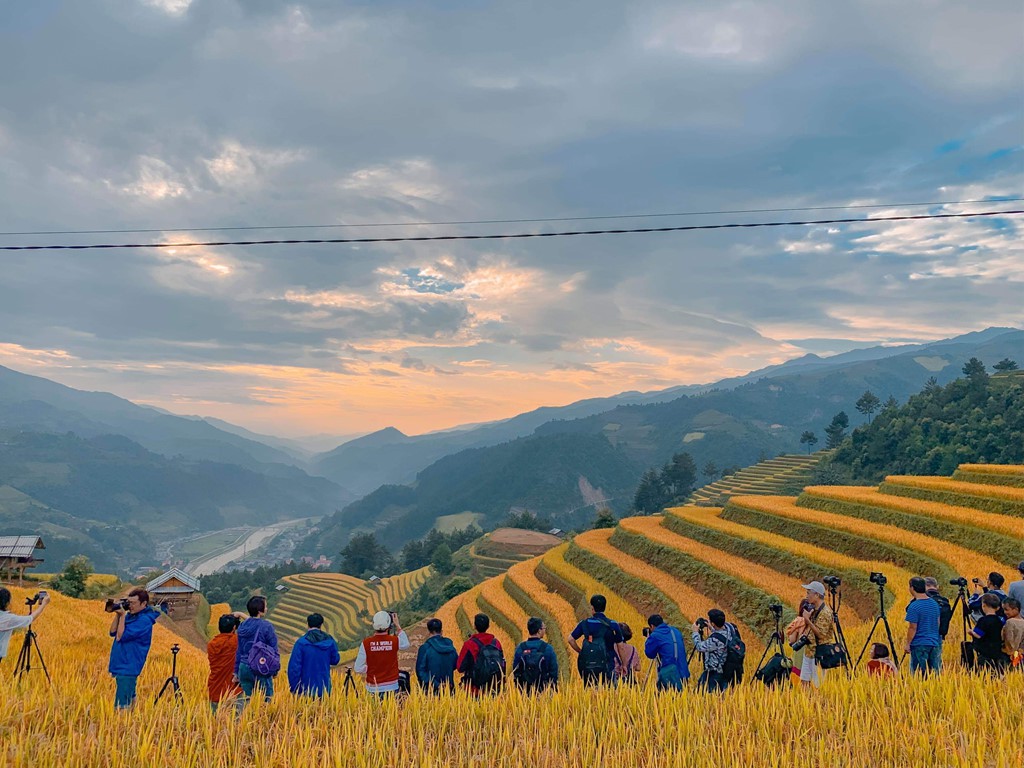 Ngây ngất với mùa lúa chín Mù Cang Chải