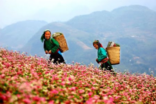 Những địa điểm vui chơi, ăn uống về đêm nổi tiếng ở Tây Bắc