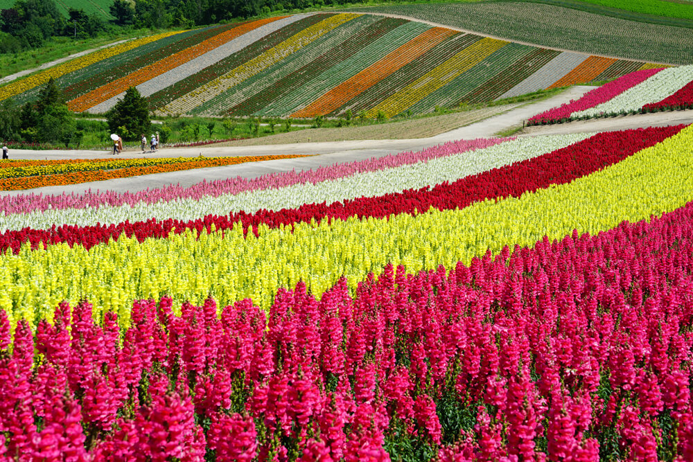 Những điểm thăm quan đẹp ở Hokkaido