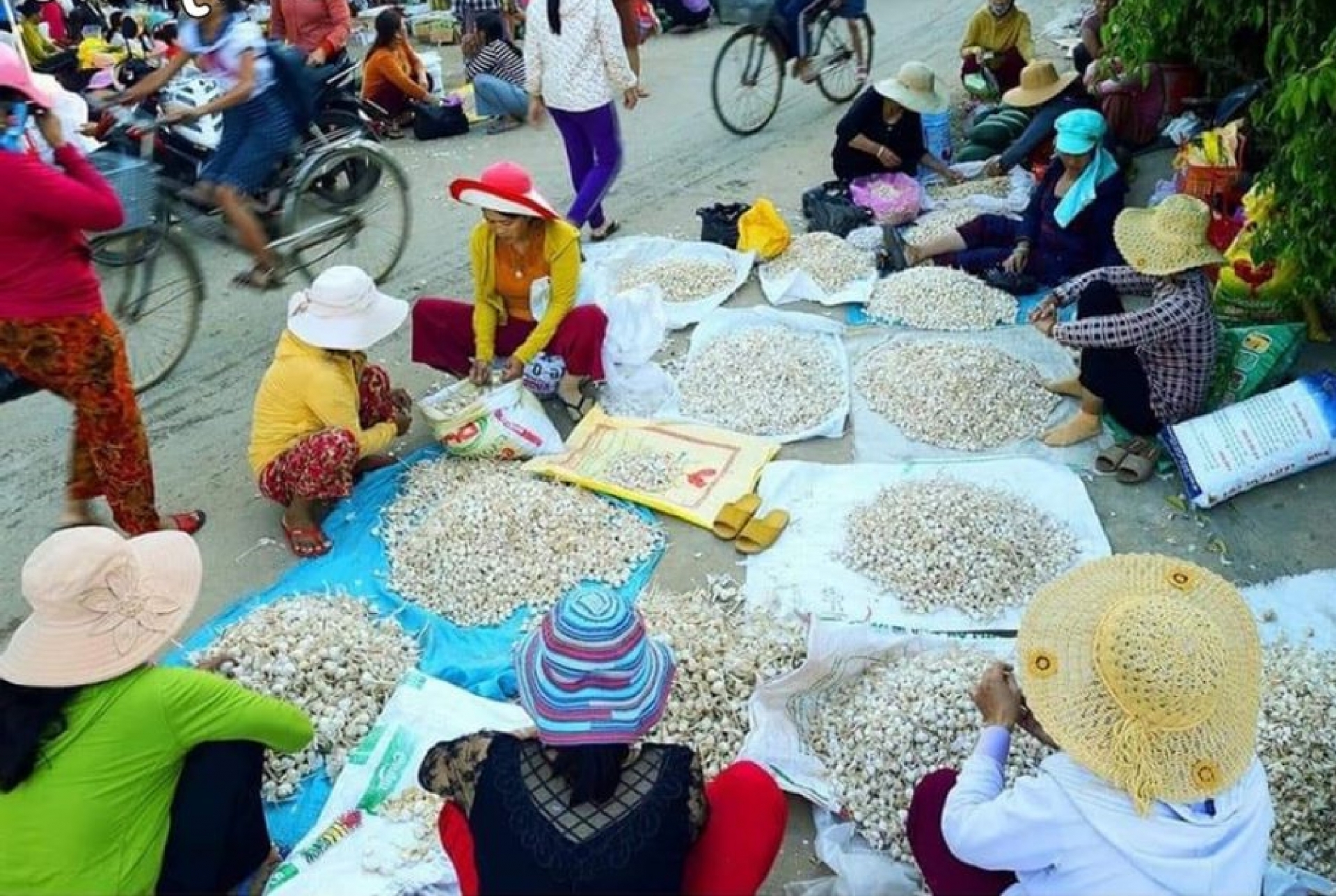 Những món ăn ngon du khách nên thưởng thức