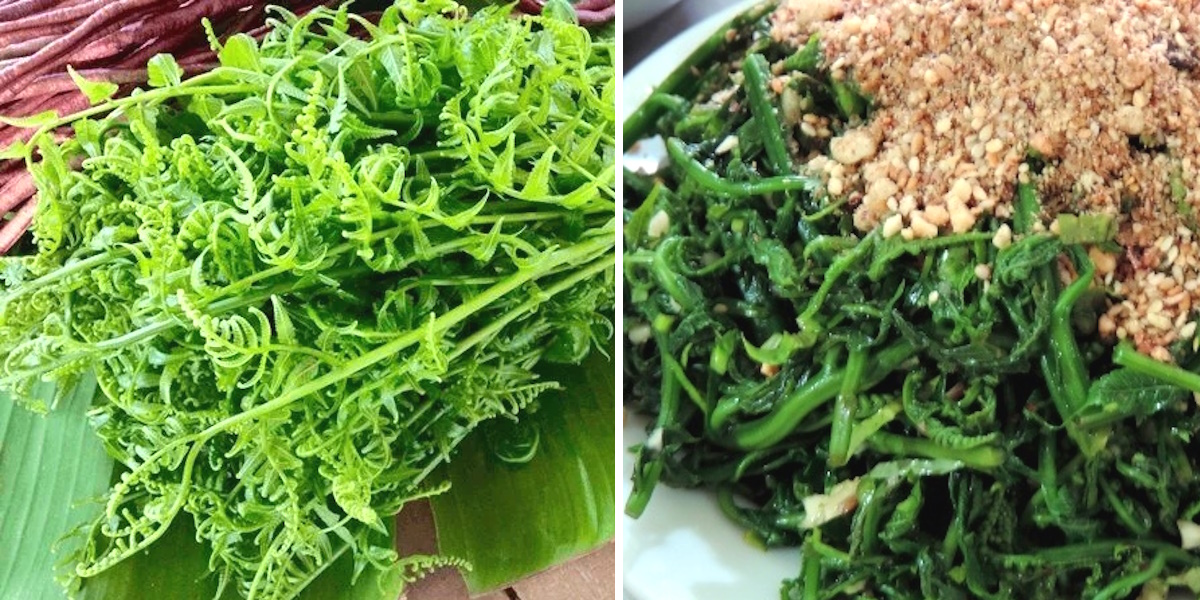 Nộm rau dớn lạ miệng