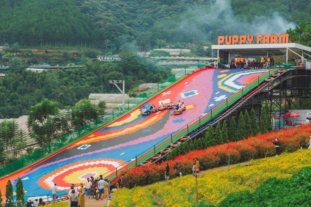 Nông Trại Puppy Farm