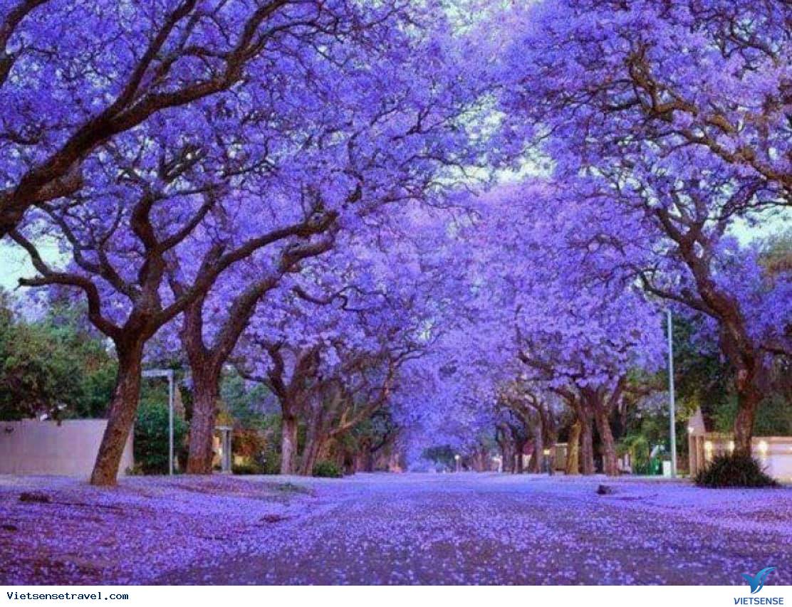 Pretoria