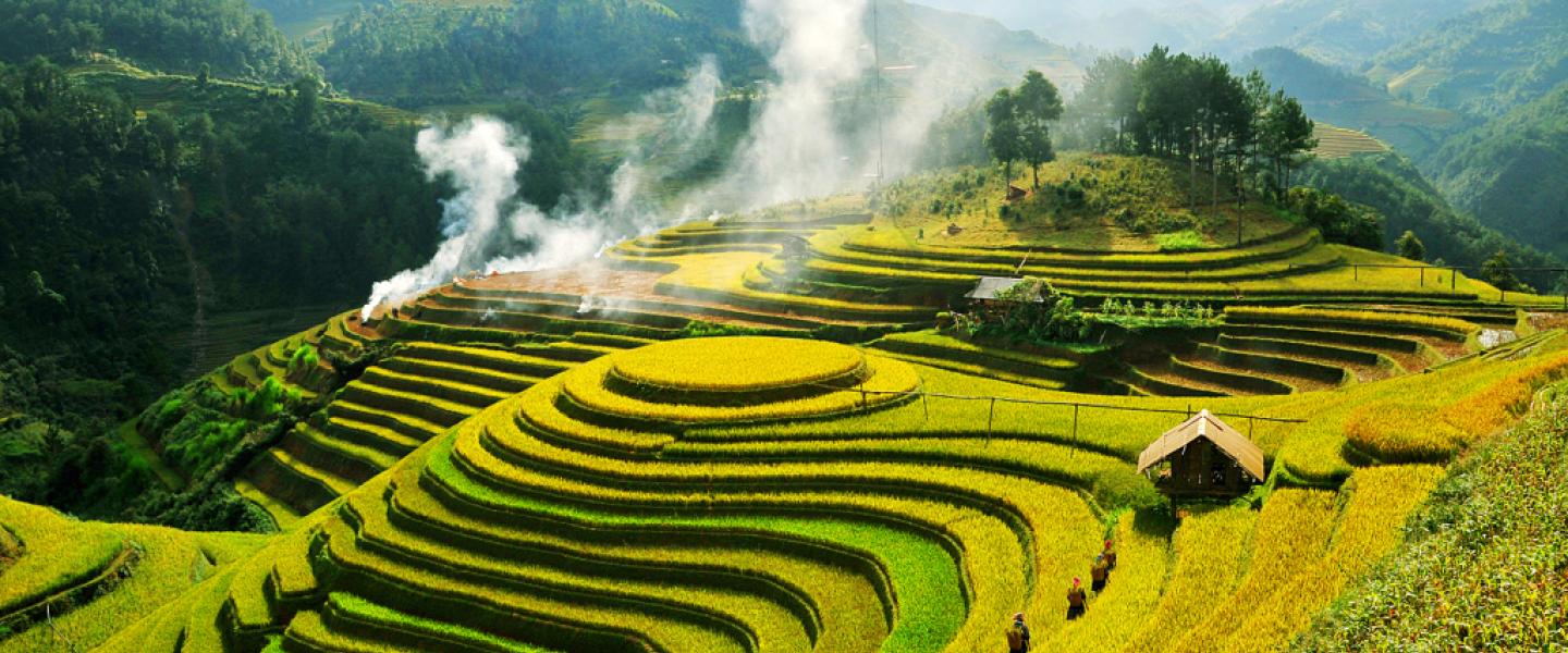 Quên Mù Cang Chải đi, đây mới là điểm ngắm mùa lúa chín lý tưởng nhất