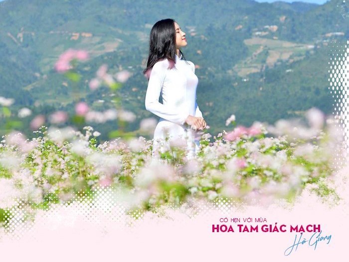 Rộn ràng Mùa hoa Tam Giác Mạch Hà Giang 2022 đi ngay kẻo lỡ!