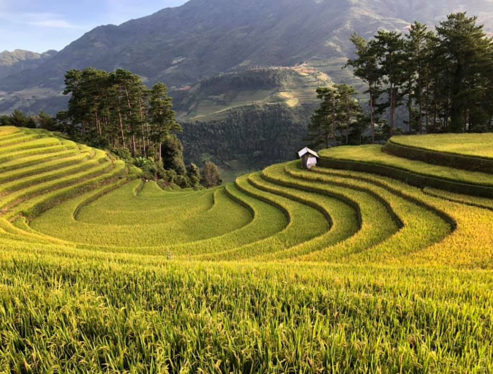 Ruộng bậc thang hình móng ngựa