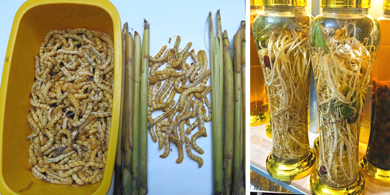 Rượu sâu chít Lai Châu